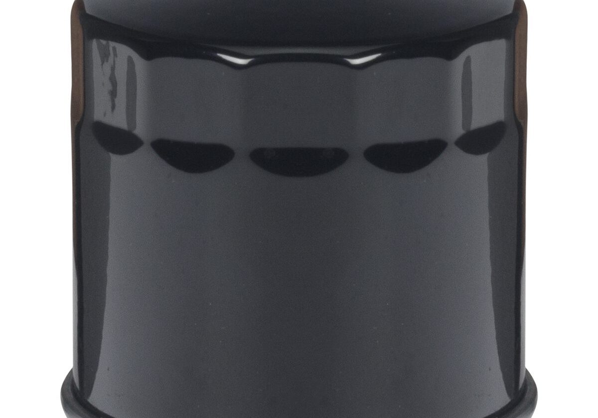Black automotive oil filter on white background.